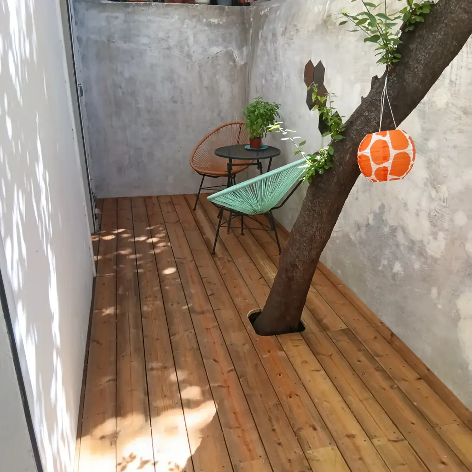 Terrasse en bois aménagée au pied d’un arbre